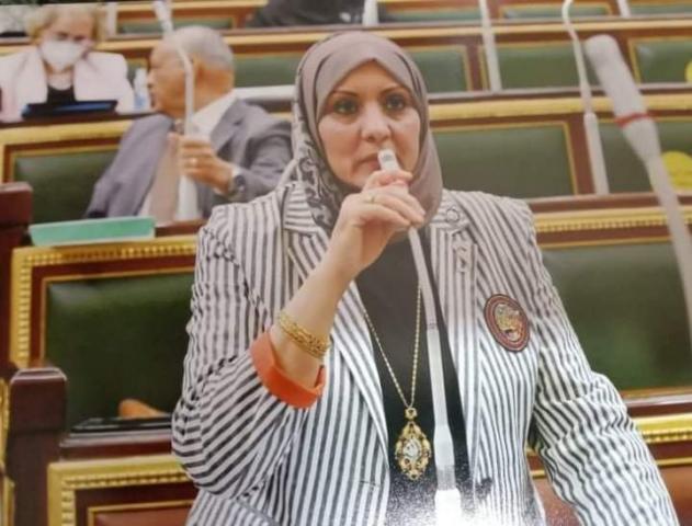 النائبه هناء فاروق