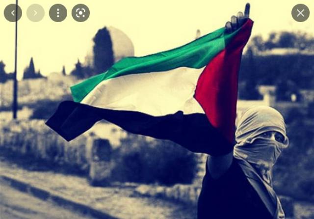 يوم العلم الفلسطينى