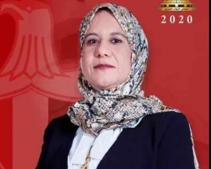 النائبة رقية الهلالى