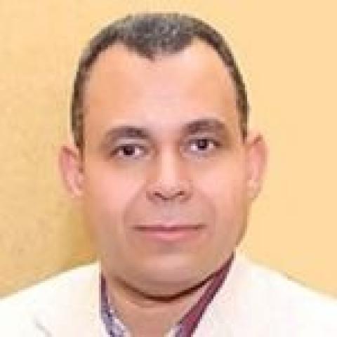 الكاتب الصحفي محمد ابو المجد 