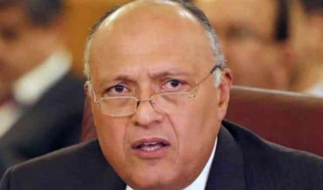 وزير الخارجية سامح شكري