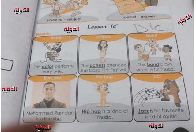 الصورة المتداولة