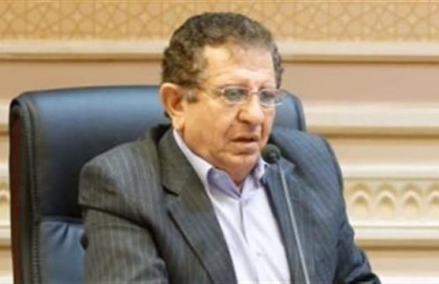 النائب يسري المغازي،