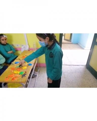 طلاب في فصولهم الدراسية