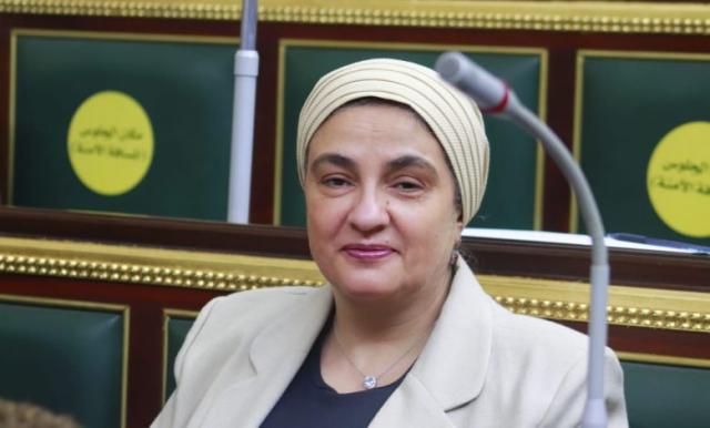 النائبة سميرة الجزار