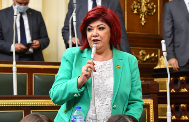 النائبة نورا على
