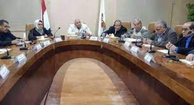 محافظ الوادي الجديد 