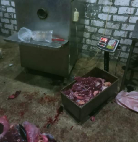 ضبط طن لحوم حمير مذبوحة