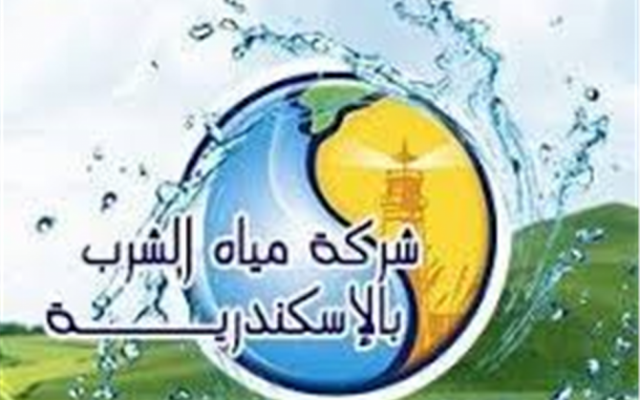 تنفيذ المبادرة بالإسكندرية