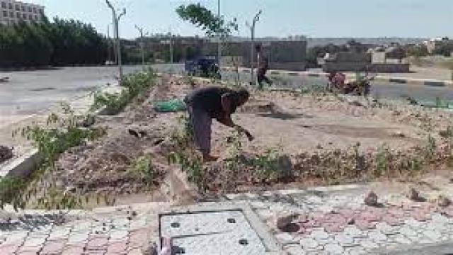 شوارع وميادين مدينة القصير 