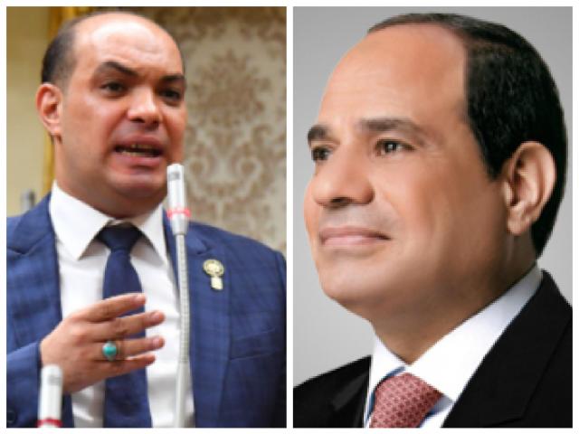الرئيس عبد الفتاح السيسى -النائب علاء حمدي قريطم