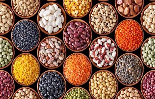 اسعار البقوليات 