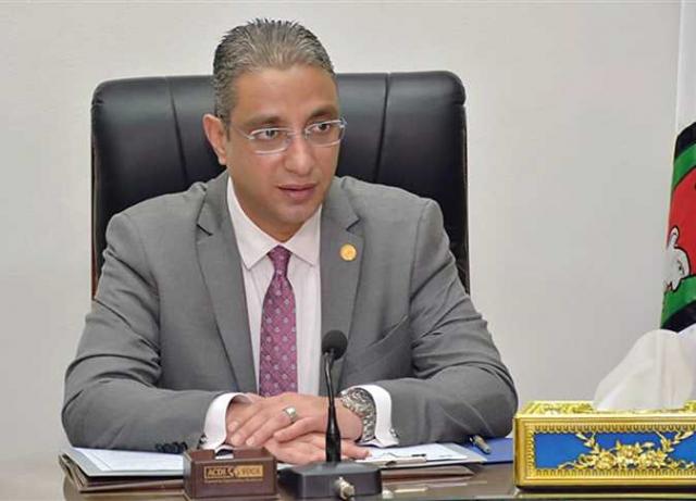 الدكتور أحمد الأنصارى محافظ الفيوم