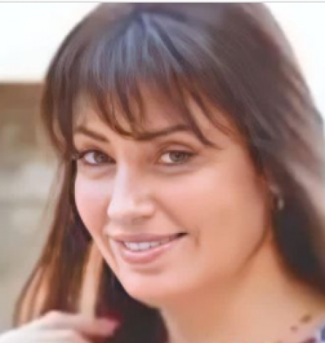 نيرمين الفقي