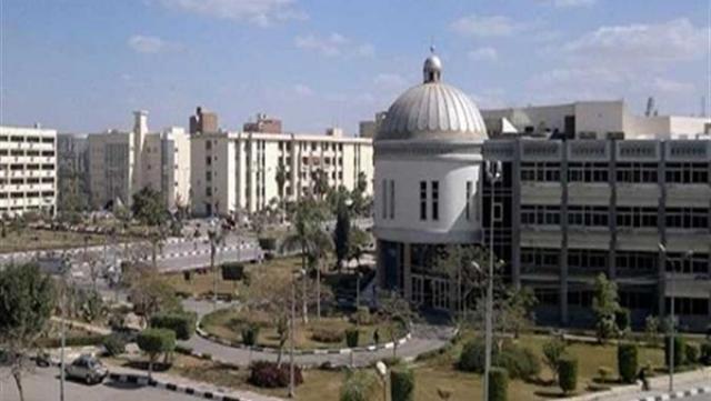 جامعة الفيوم 