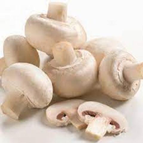 مشروم