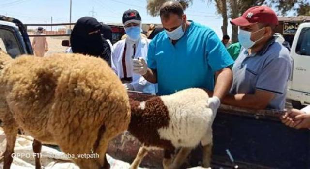 قوافل بيطرية