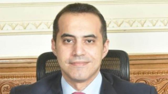 المستشار محمود فوزى