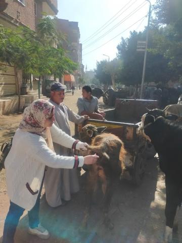 قافلة بيطرية