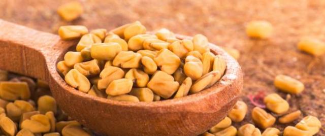 بذور الحلبة