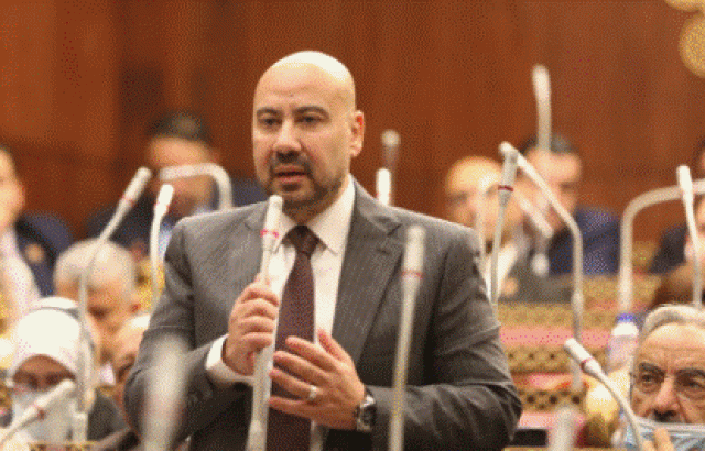 النائب ياسر ذكى وكيل لجنة الشئون المالية والاقتصادية والاستثمار بمجلس الشيوخ 