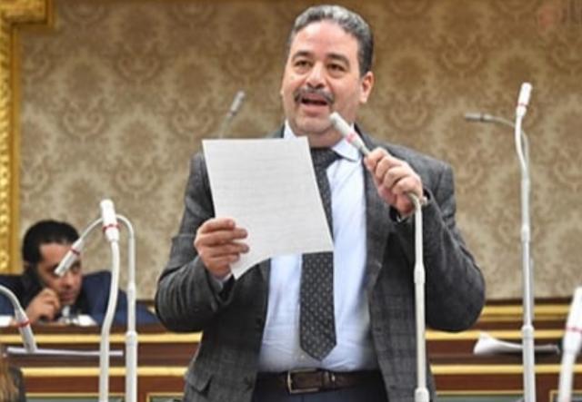 النائب احمد الالفي