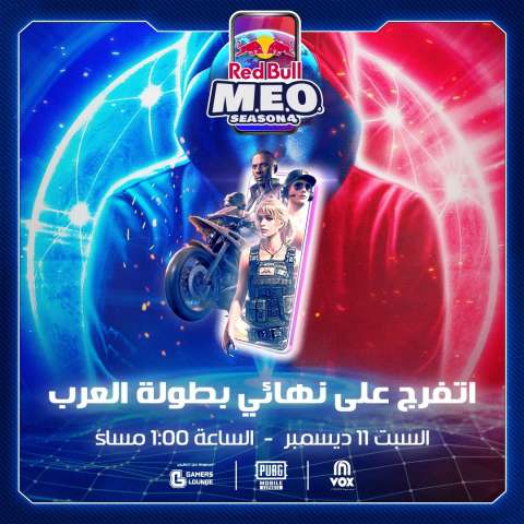 بطولة العرب