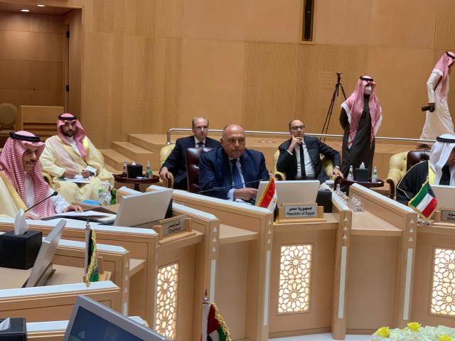  وزير الخارجية سامح شكري