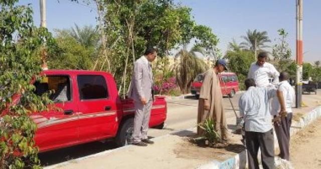 زراعة الأشجار