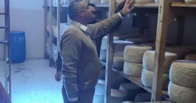 ضبط جبنة رومى غير صالحة 