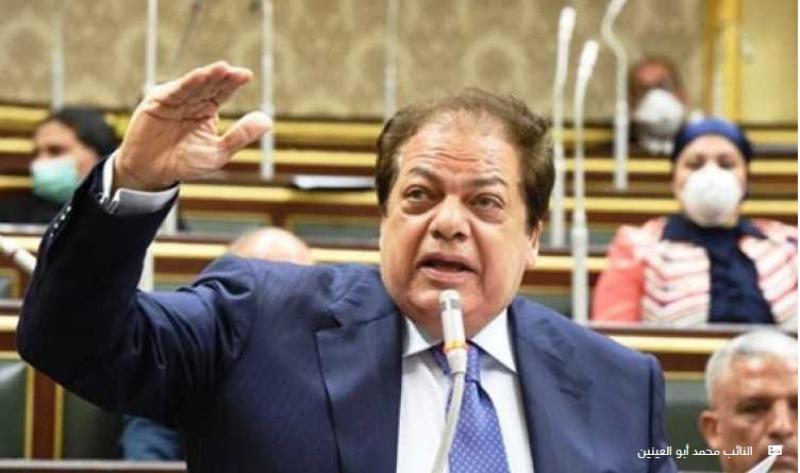  النائب محمد أبو العينين 