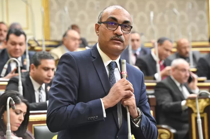 النائب إيهاب منصور-