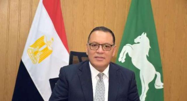محافظ الشرقية