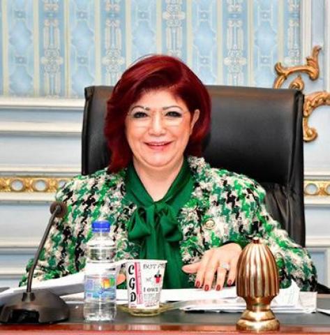 النائبة نورا على 