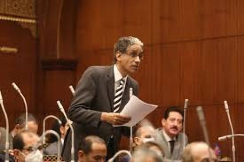 النائب طارق تهامي