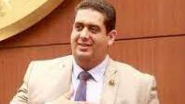 النائب وليد التمامى