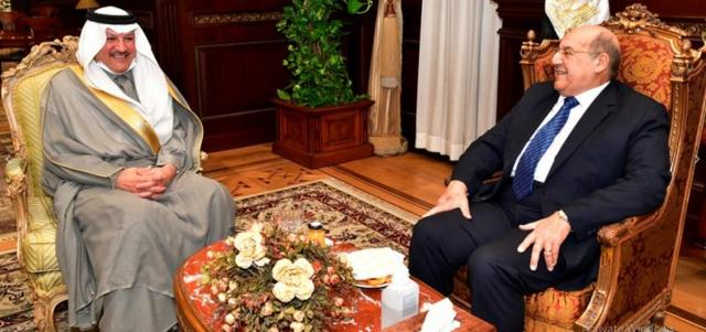 رئيس مجلس الشيوخ والسفير السعودى بالقاهرة