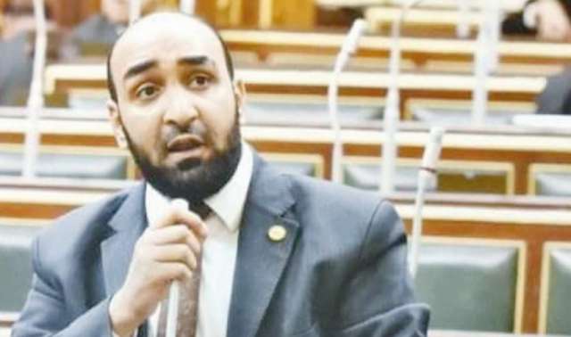  النائب محمود أبو الخير