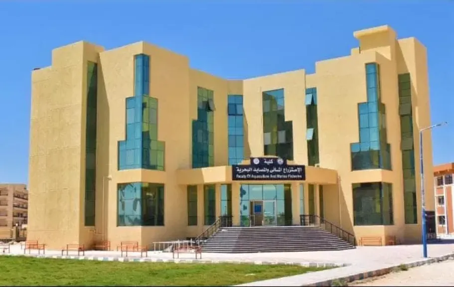  جامعة العريش 