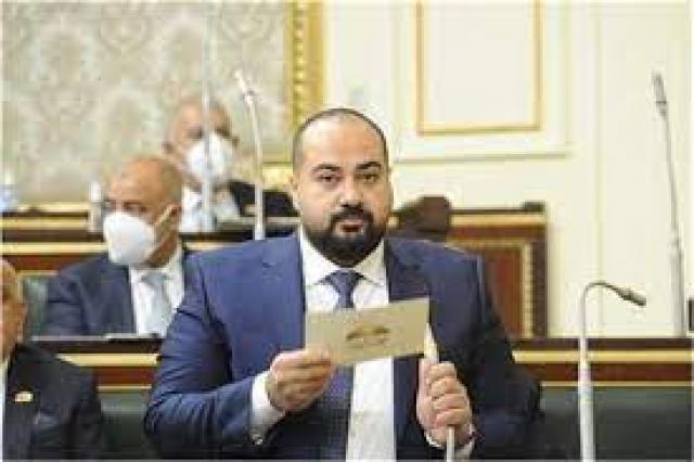 النائب حسام زكي