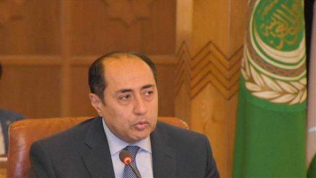 السفير حسام زكى