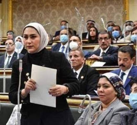  النائبة آية فوزى