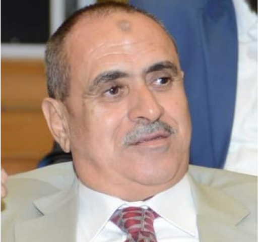 النائب عاطف النمكي