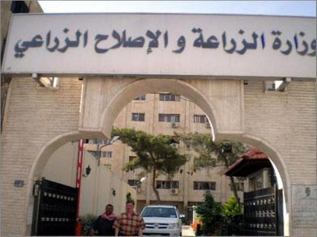 وزارة الزراعة بدمياط