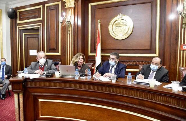 جلسة محاكاة مجلس حقوق الإنسان