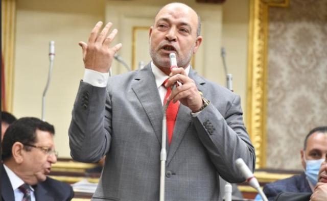  حسن المير 