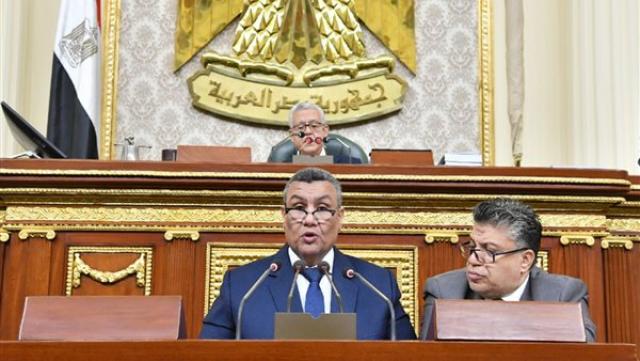 النائب مصطفى سالم