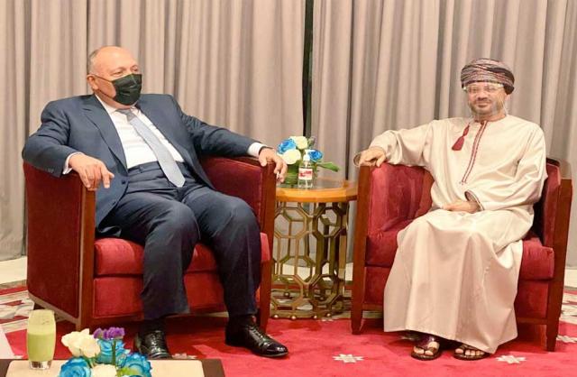لقاء ثنائي بين وزيرى خارجية مصر وعمان قبيل مجلس الأعمال المشترك