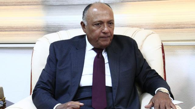 وزير الخارجية سامح شكري