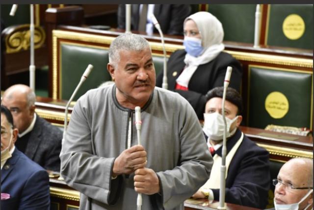 النائب صابر عبد القوى